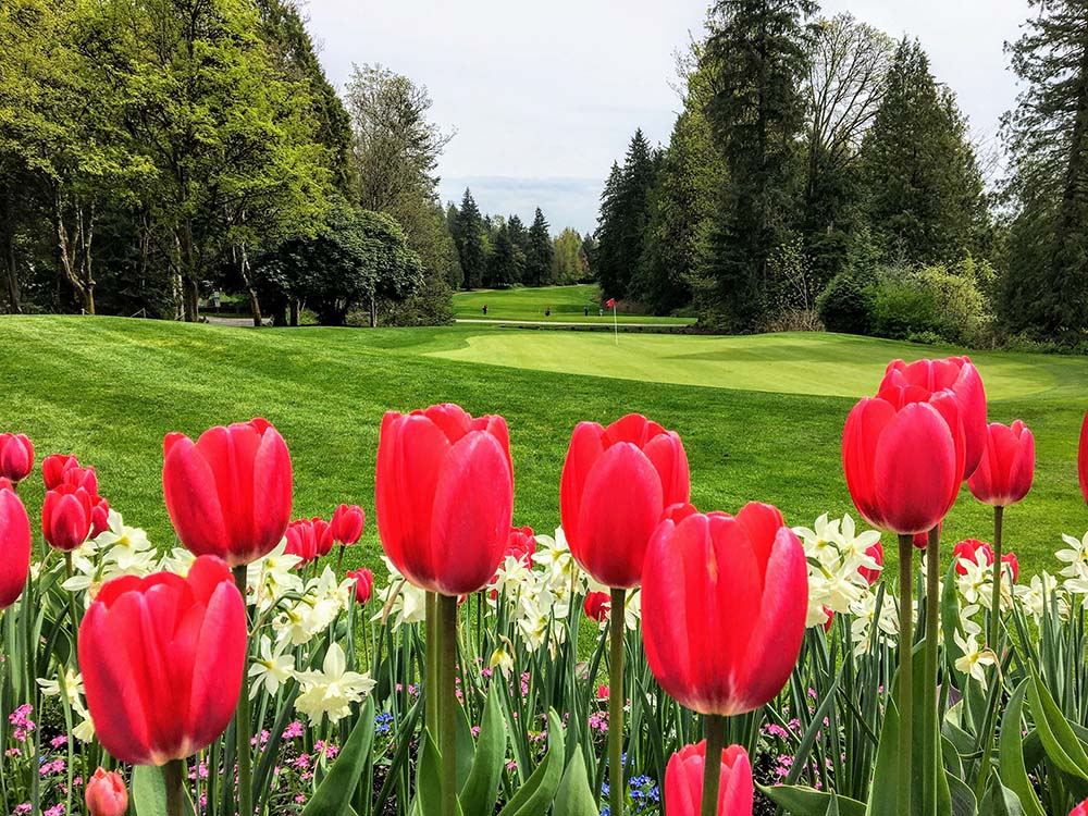 landscaping flwers
